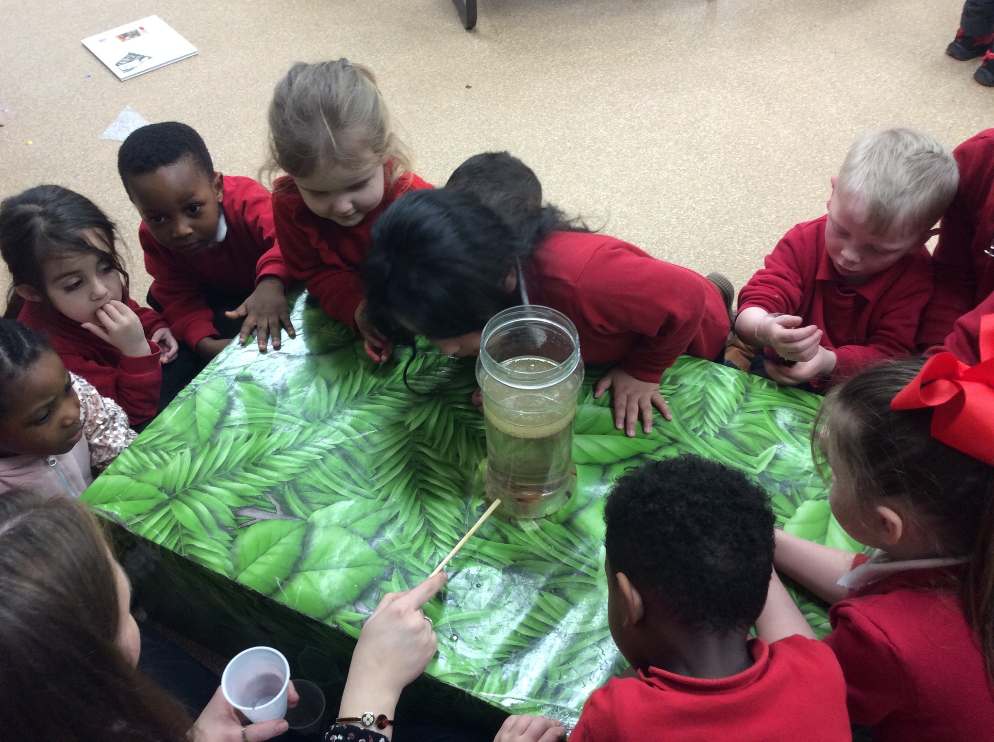 Image of Nursery - Science Week