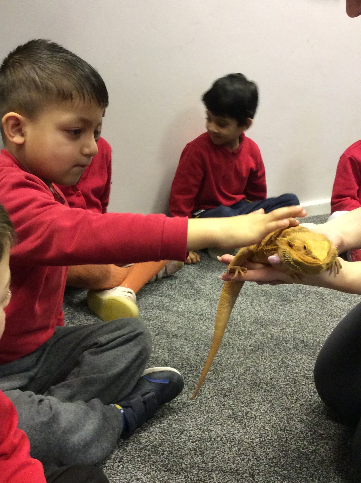 Image of Reception - Animal Club Visit