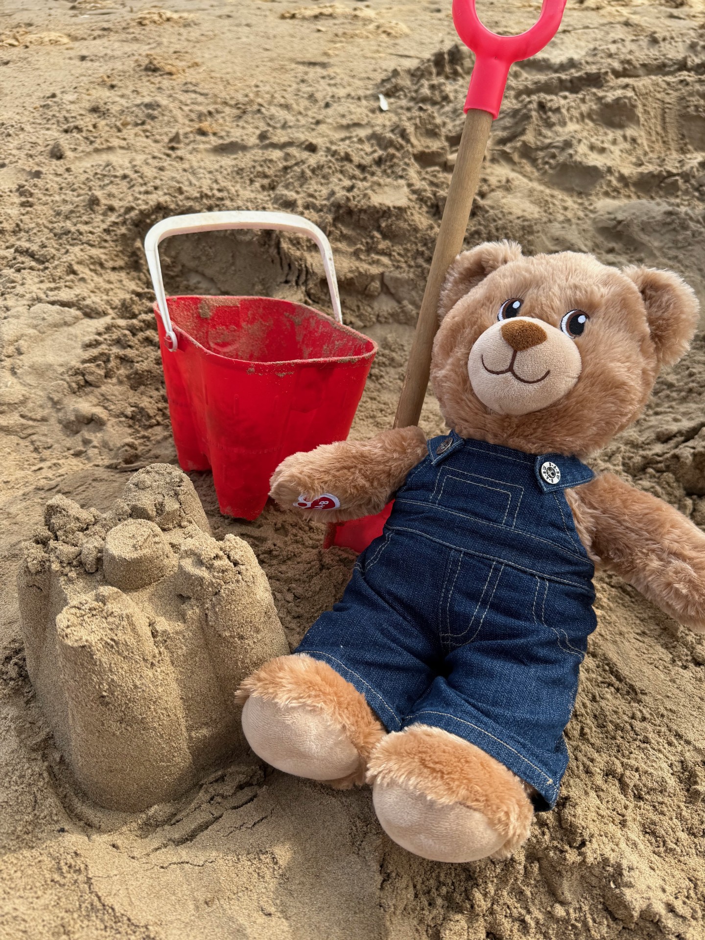 Image of Reception (Class 1) - Buttons the Teddy Bear