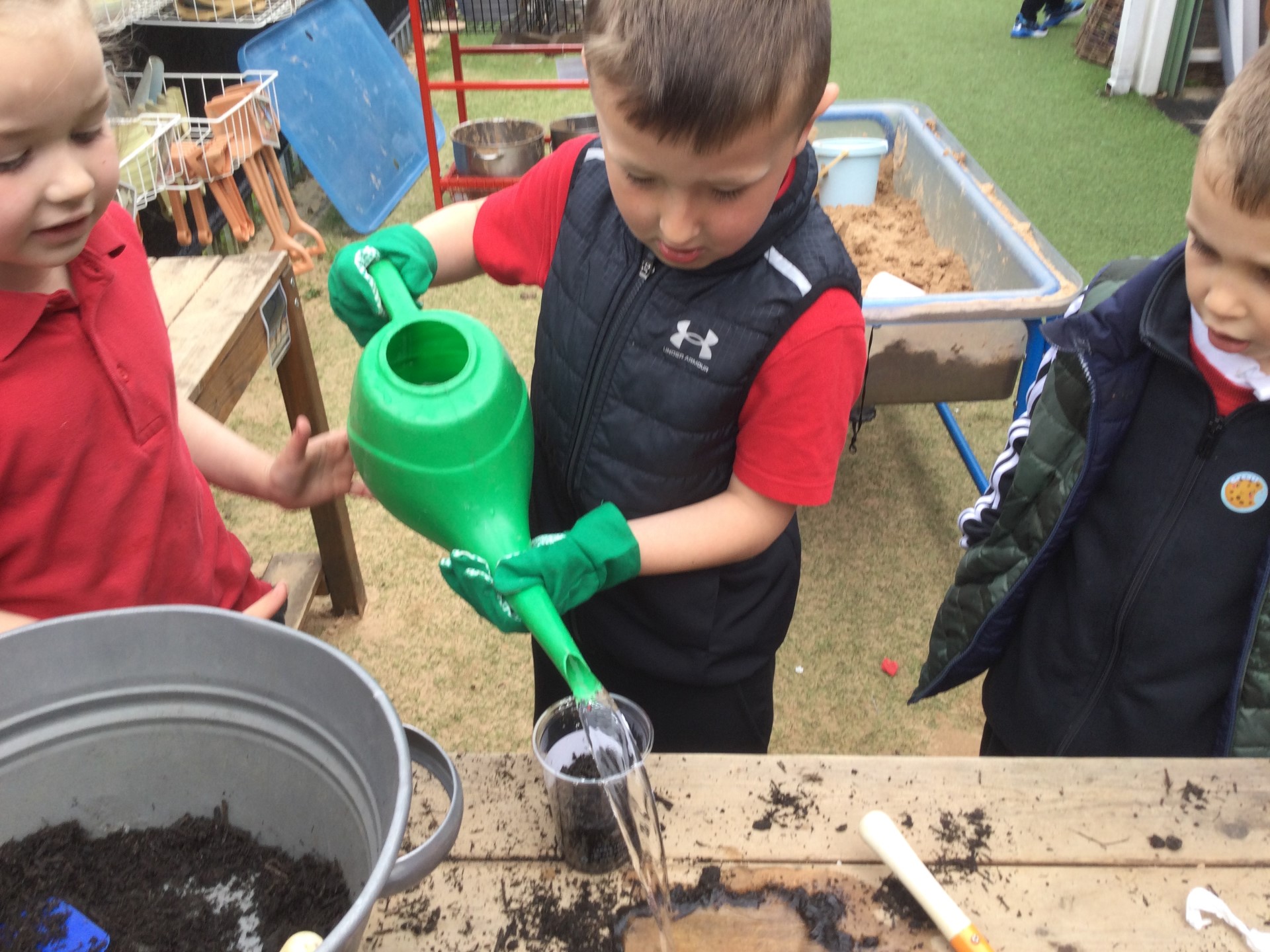 Image of Reception (Class 2) - Science - Planting Beans