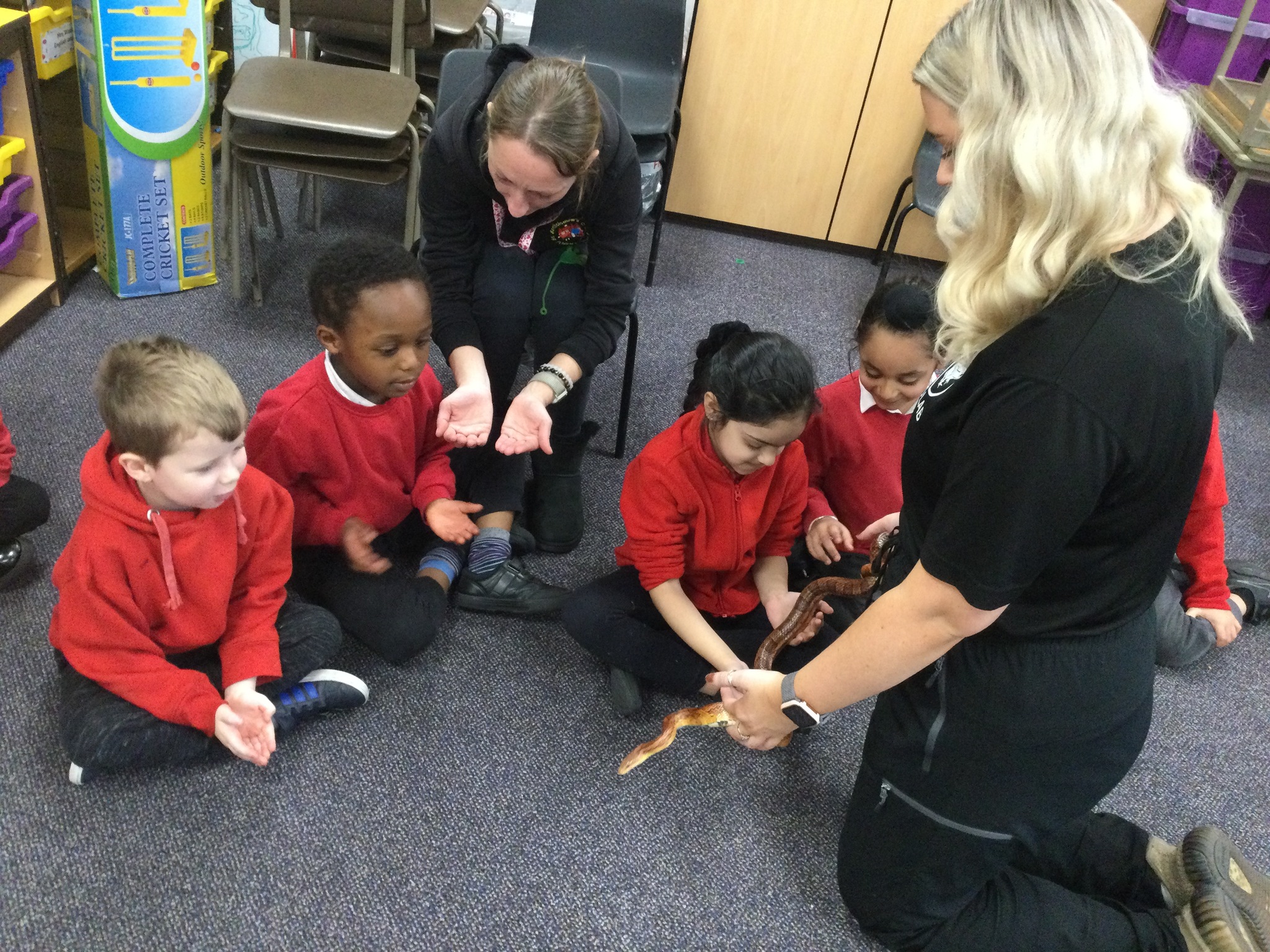 Image of Year 1 (Class 4) - Science - Animal Experience