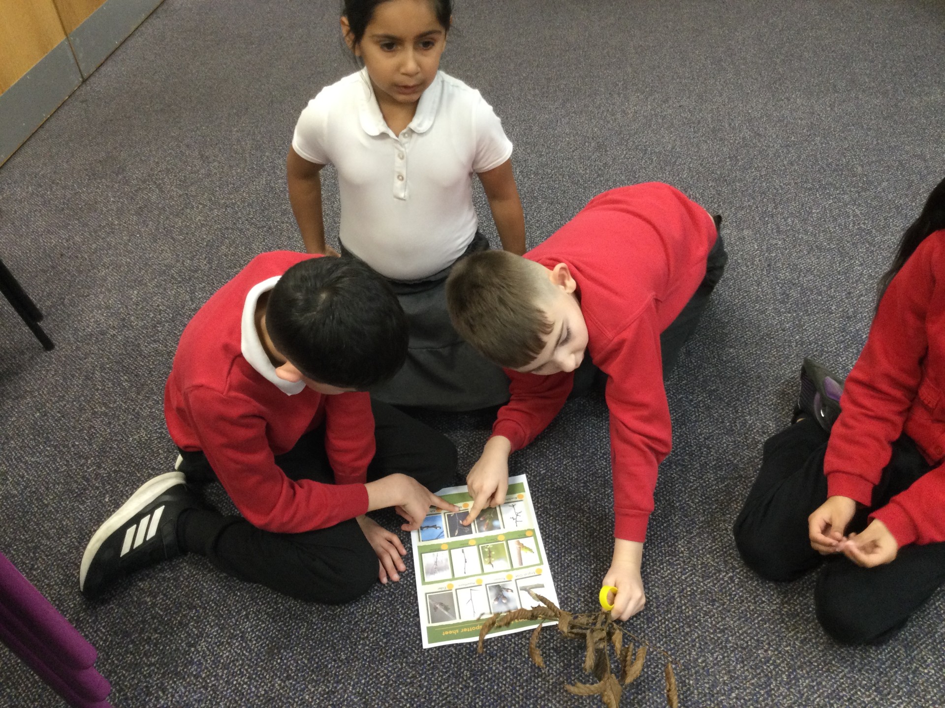 Image of Year 3 (Class 7) - Science - Gardening