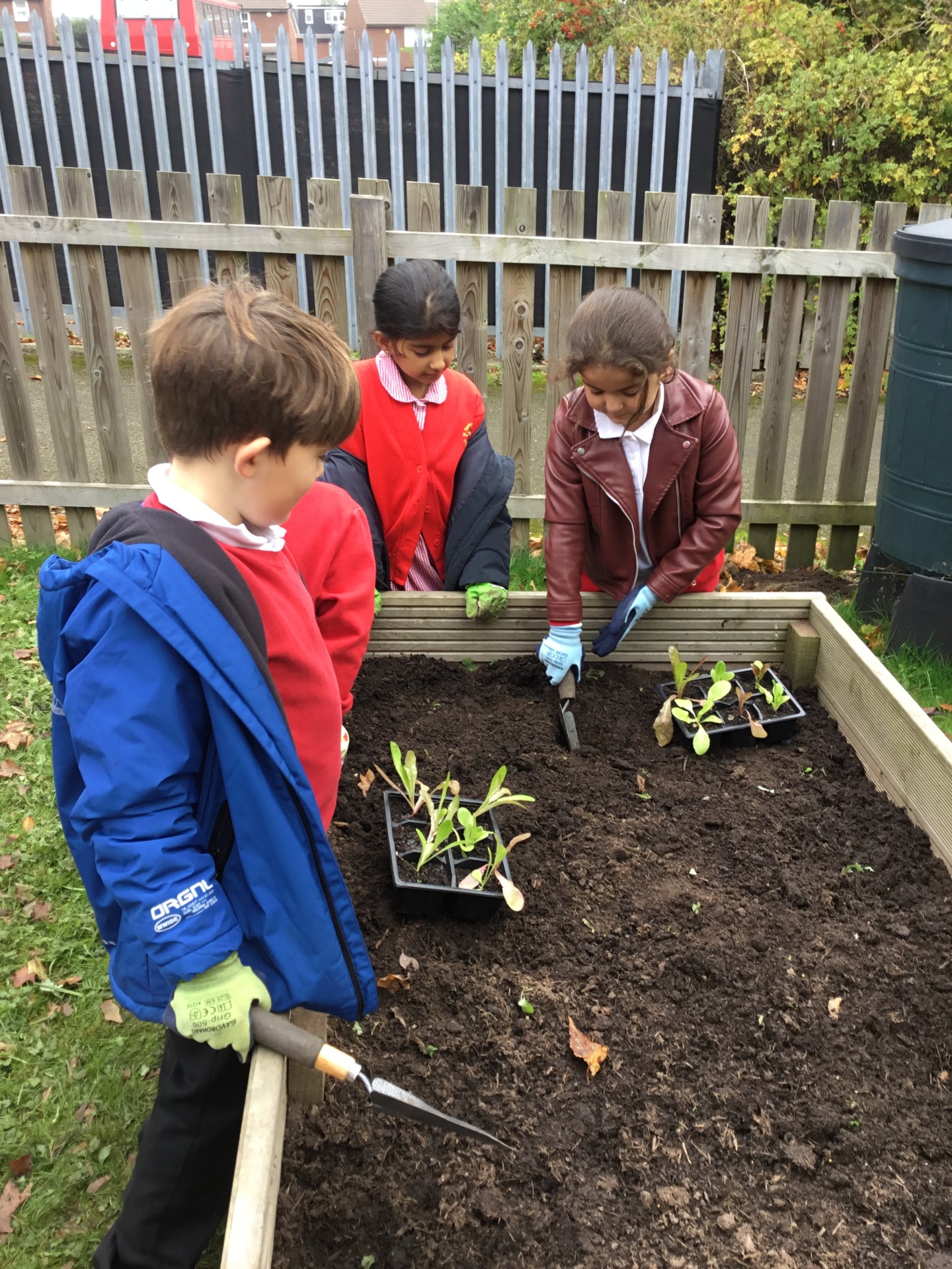 Image of Year 3 (Class 8) - Science - Grow to School Project