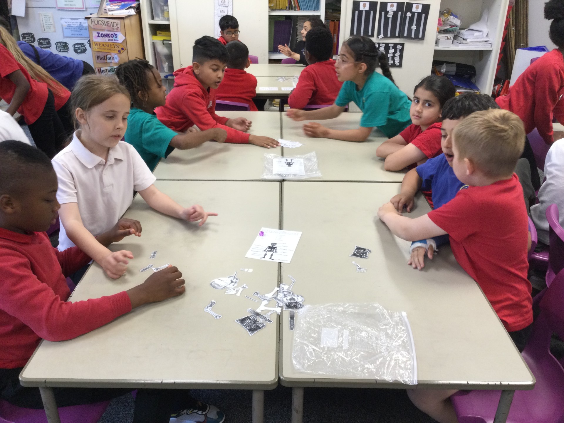 Image of Year 3 (Class 8) - Science - Human Skeletons