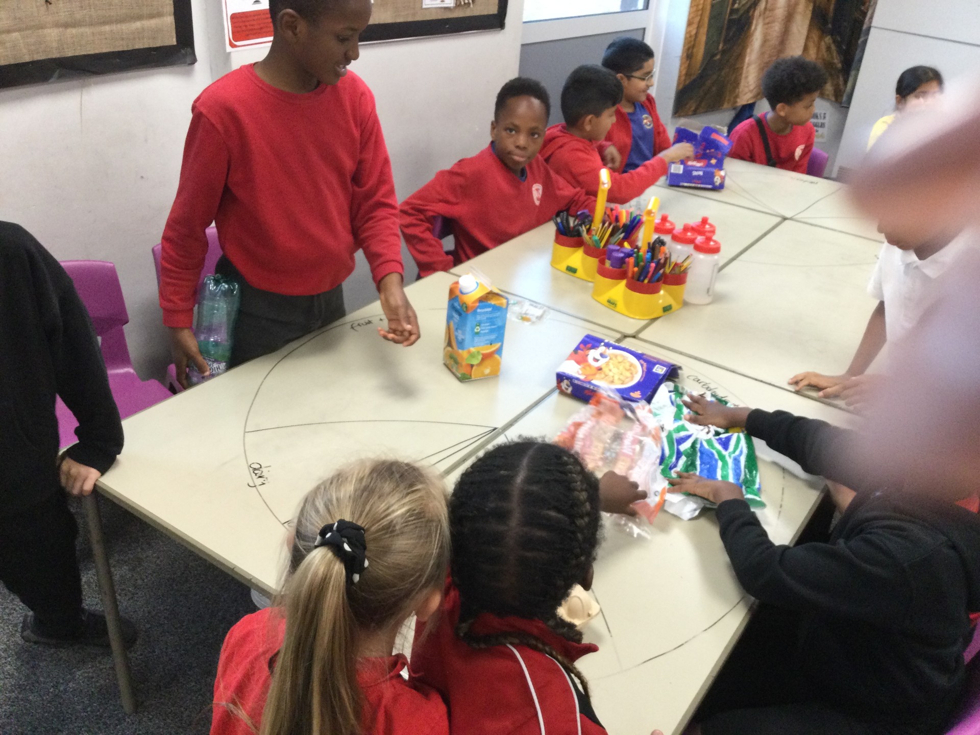 Image of Year 3 (Class 8) - Science - Living Things