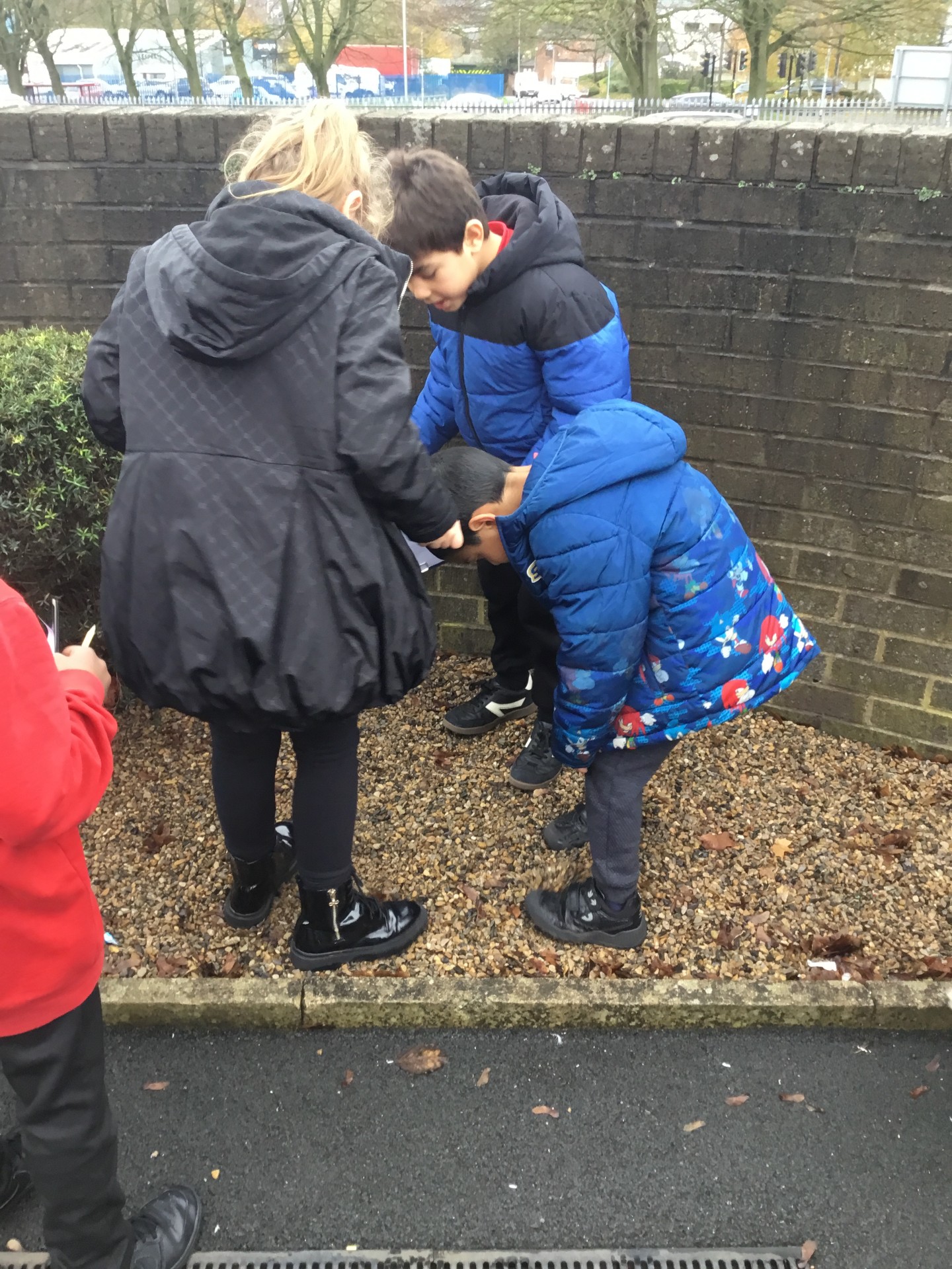 Image of Year 3 (Class 8) - Science - Rock Hunt