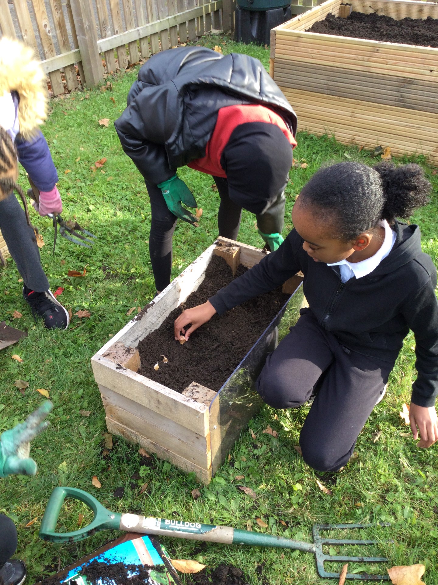 Image of Year 3 (Class 9) - Science - Wildlife Club