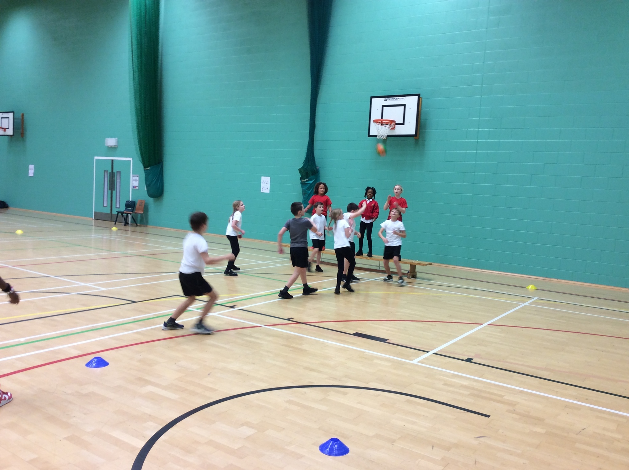 Image of Year 4 - Benchball