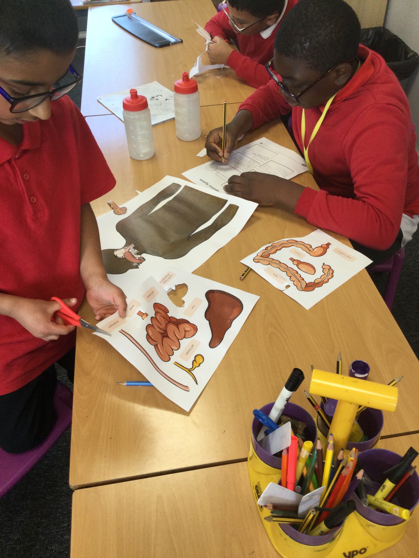 Image of Year 4 (Class 11) - Oracy / Science - Linguistic Skills