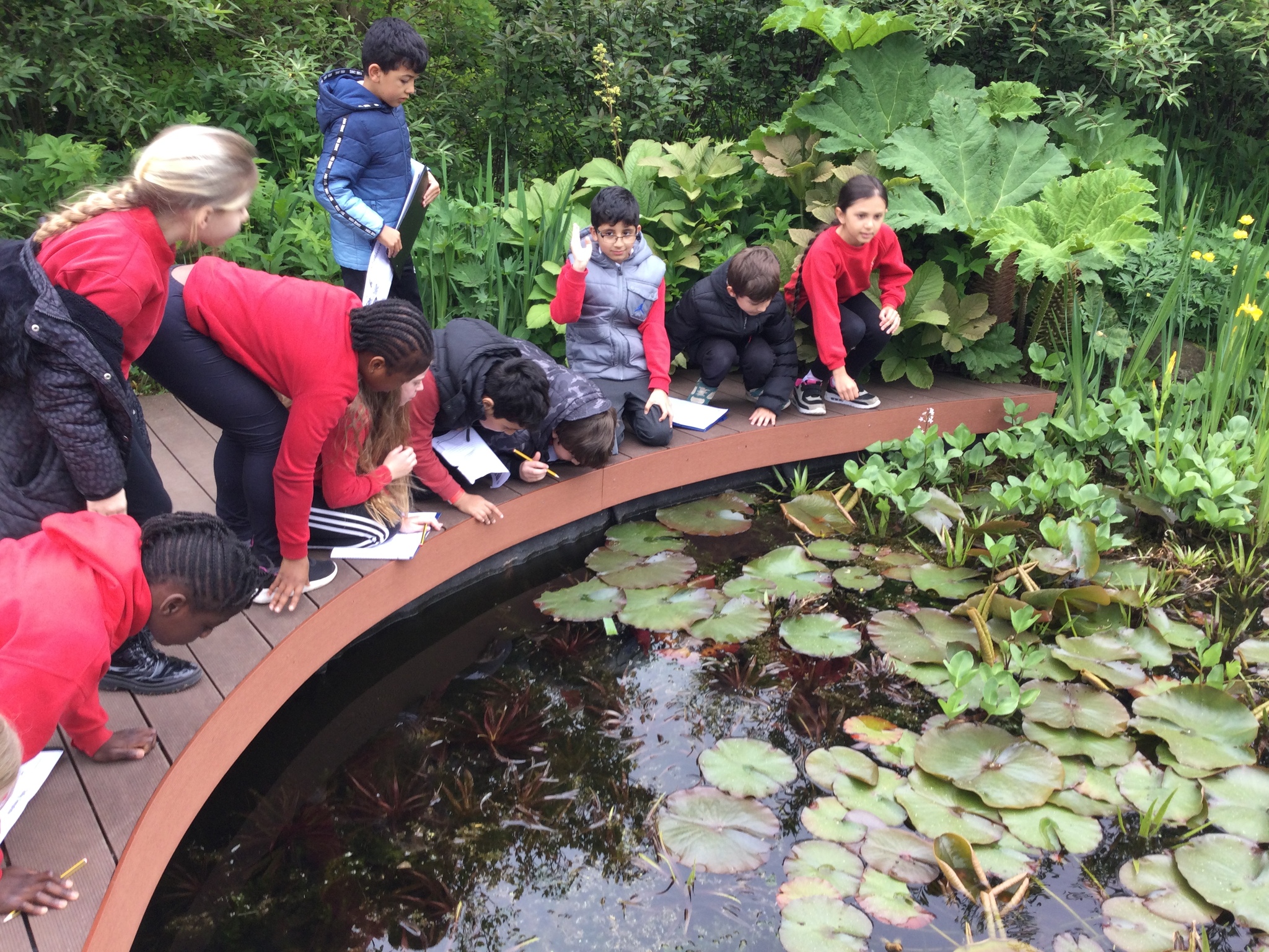 Image of Year 4 (Class 12) - Science - Harlow Carr Trip