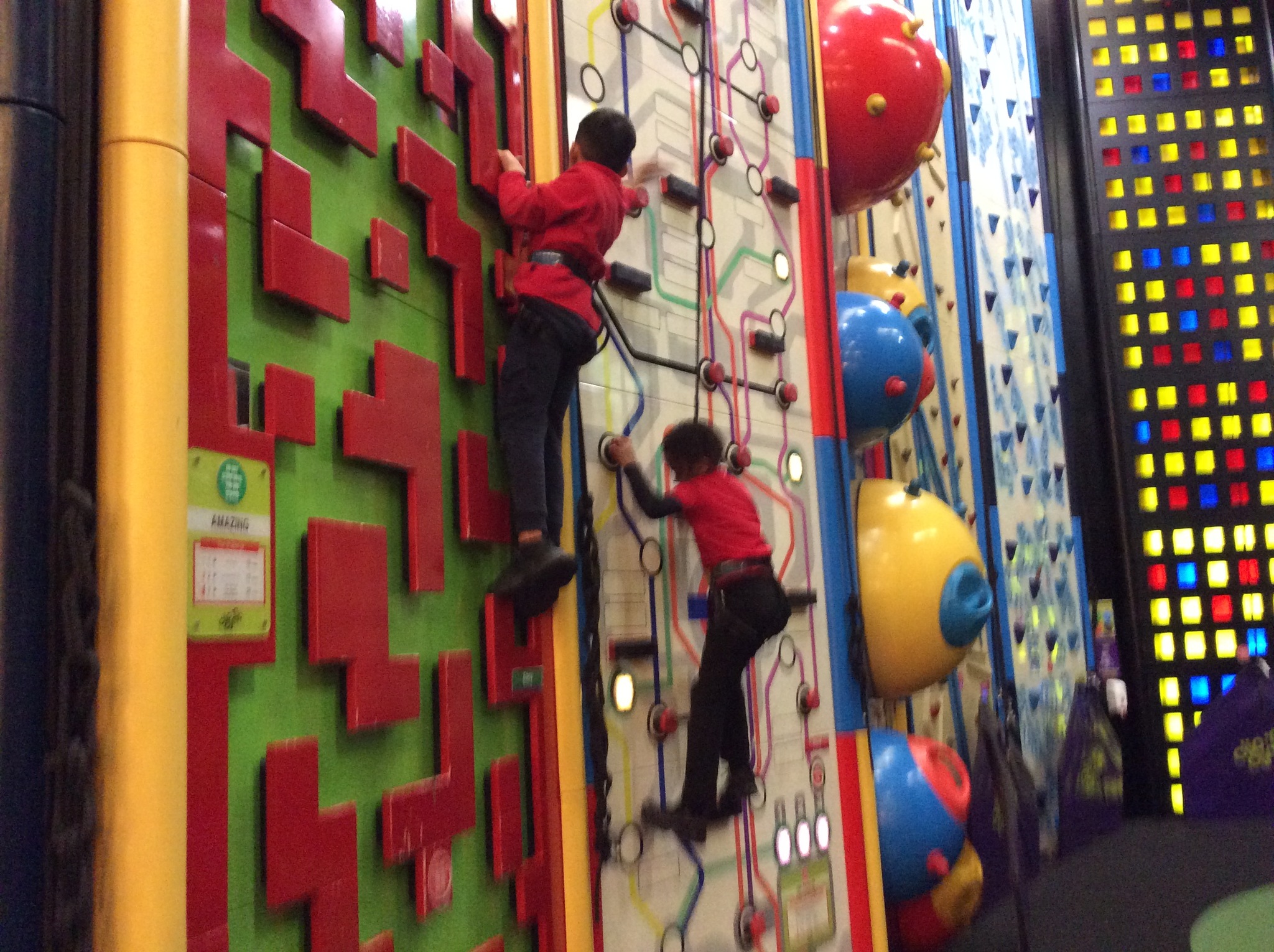 Image of Year 4 (Class 9) - P.E - Climbing Experience