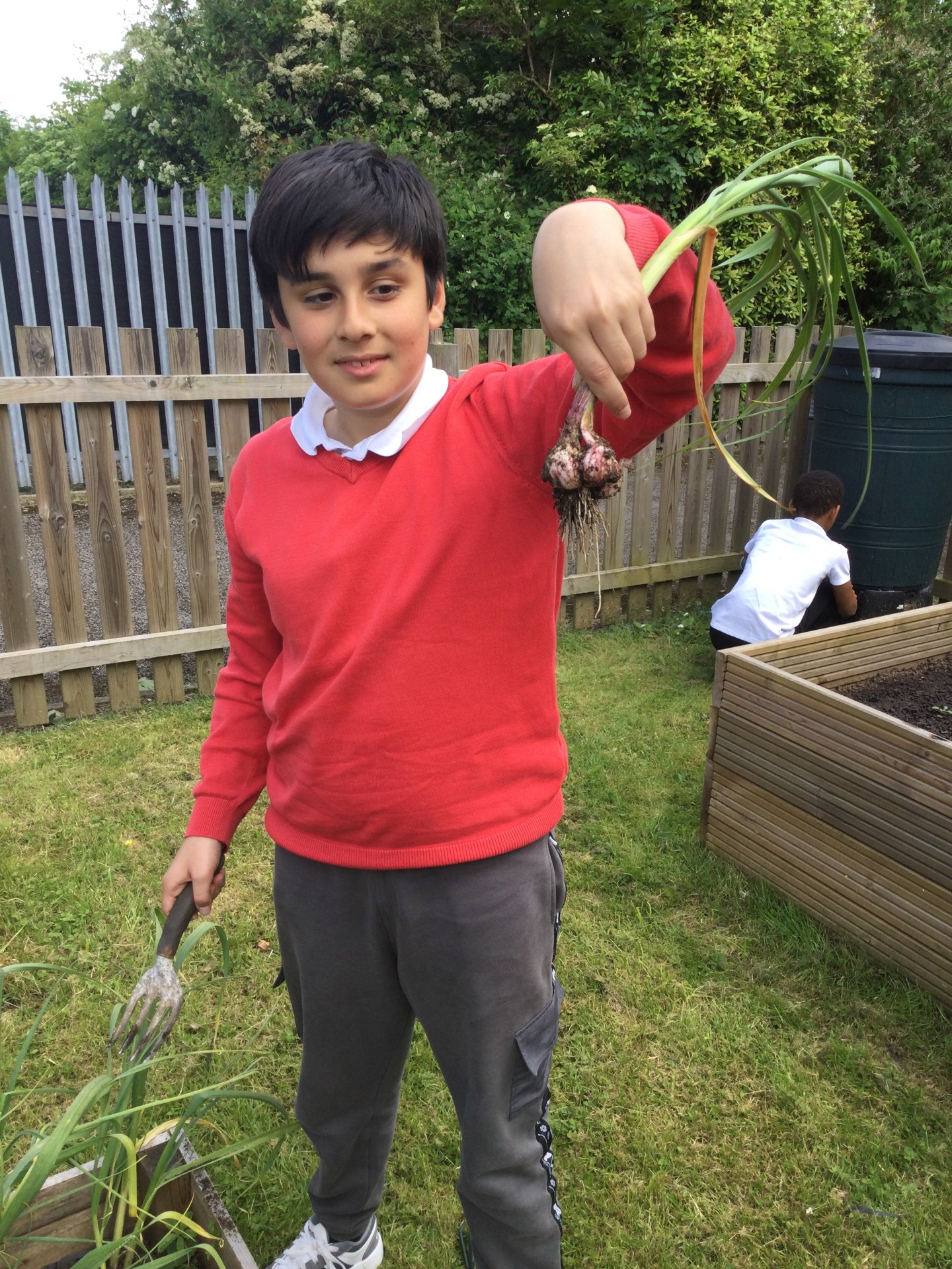 Image of Year 4 (Class 9) - Science - Harvesting