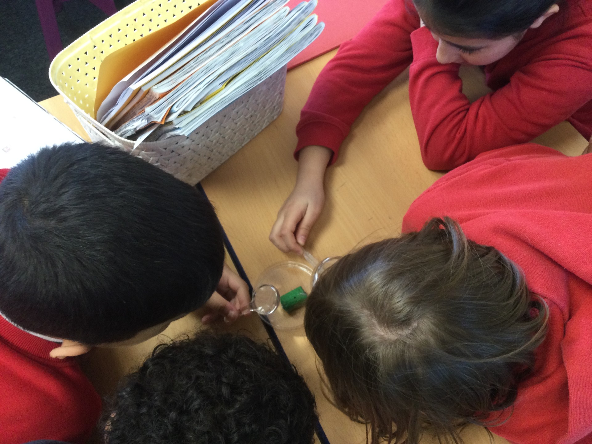 Image of Year 4 (Class 9) - Science - Substances and Teeth