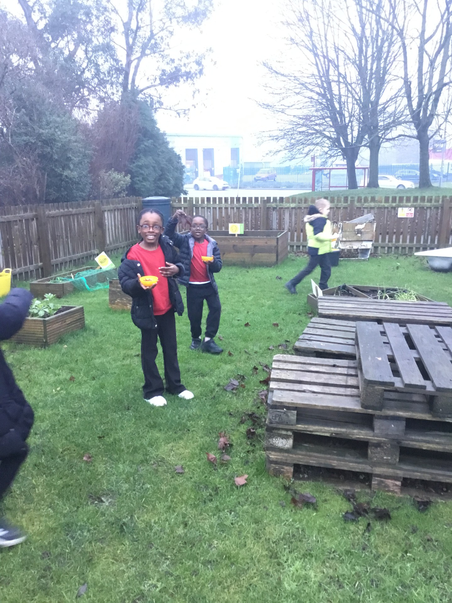 Image of Year 3 - Wildlife Club