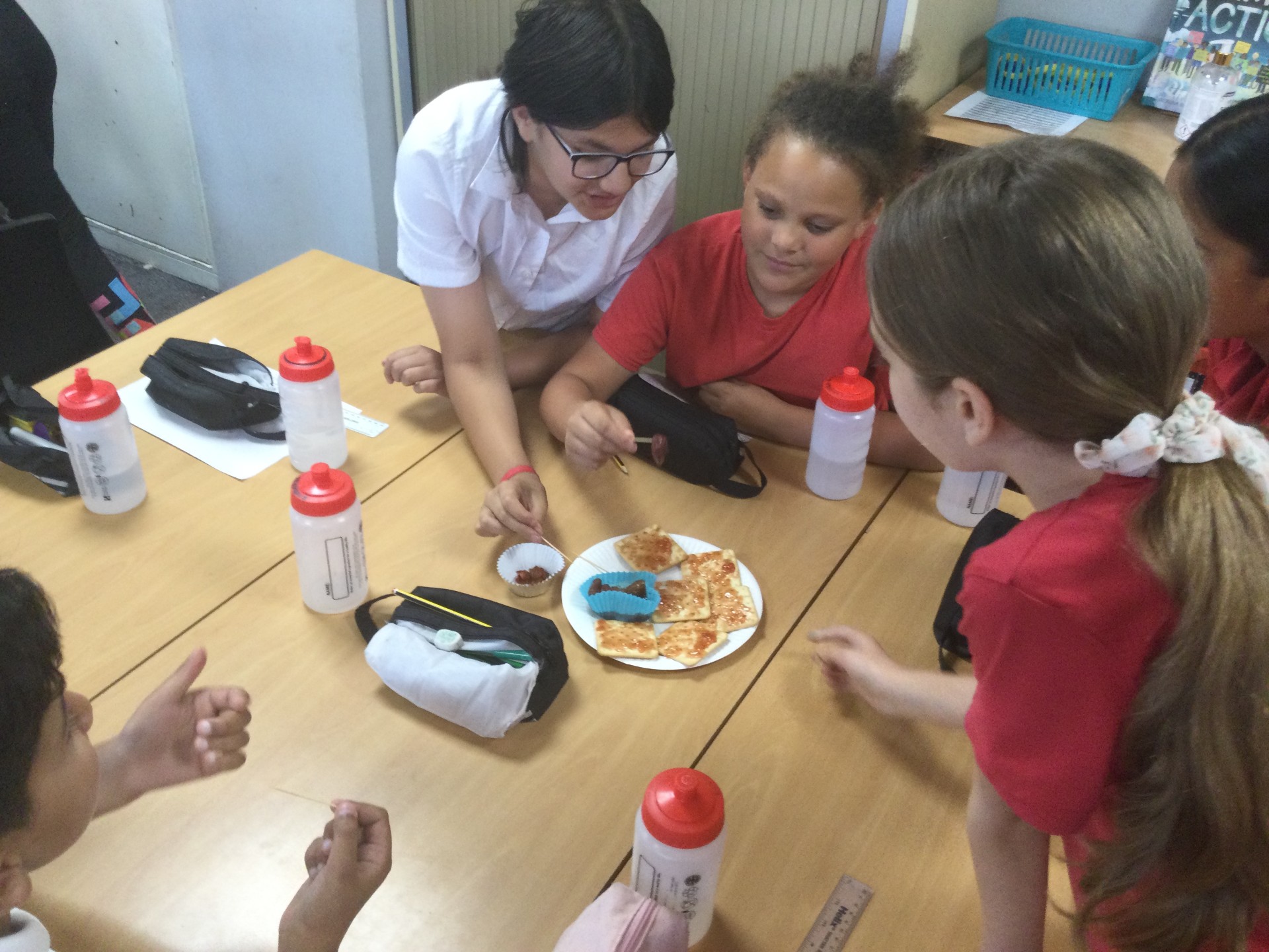 Image of Year 5 (Class 12) - Design Technology - Strawberries