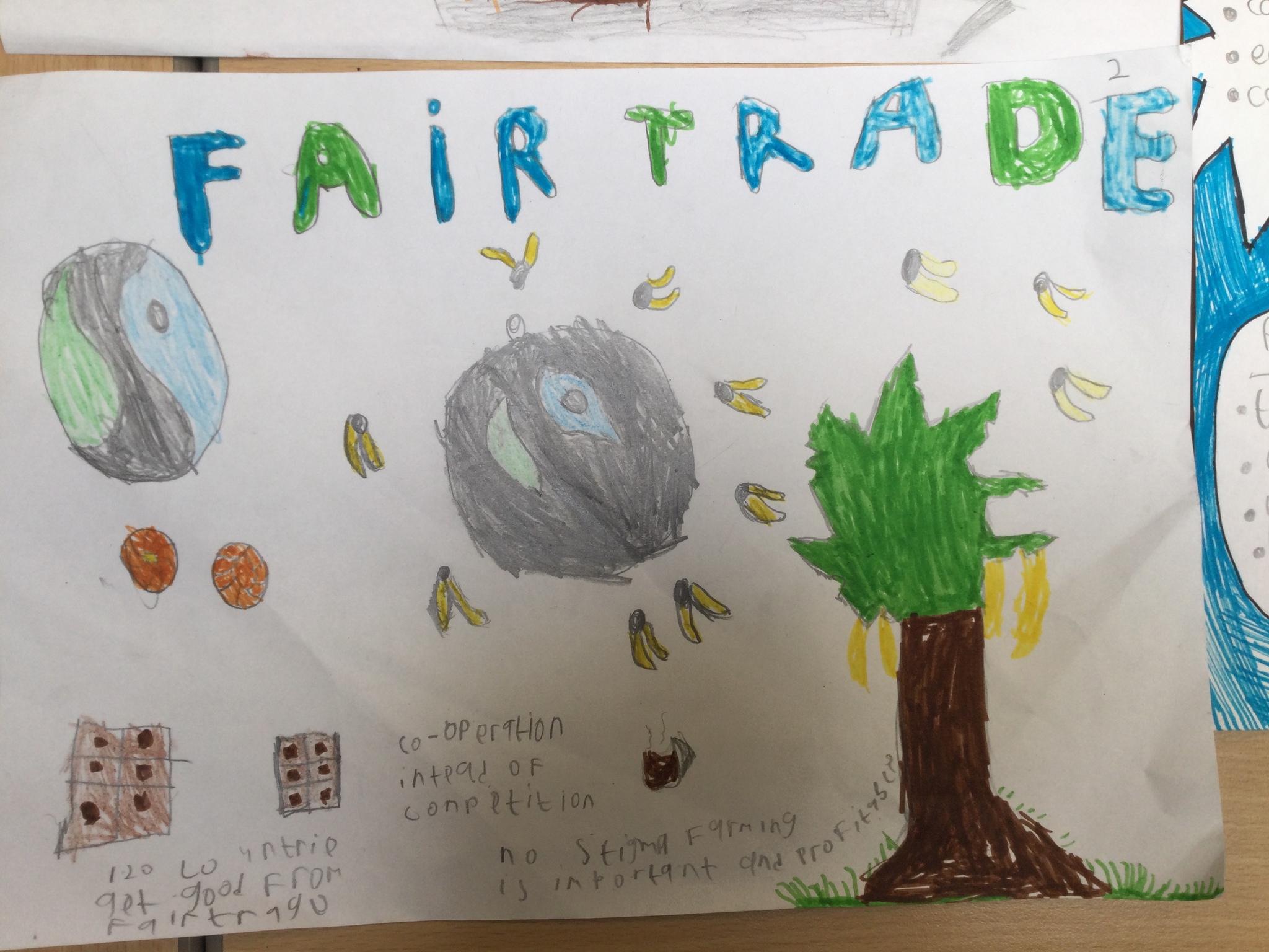 Image of Year 5 (Class 12) - Geography - Fair Trade