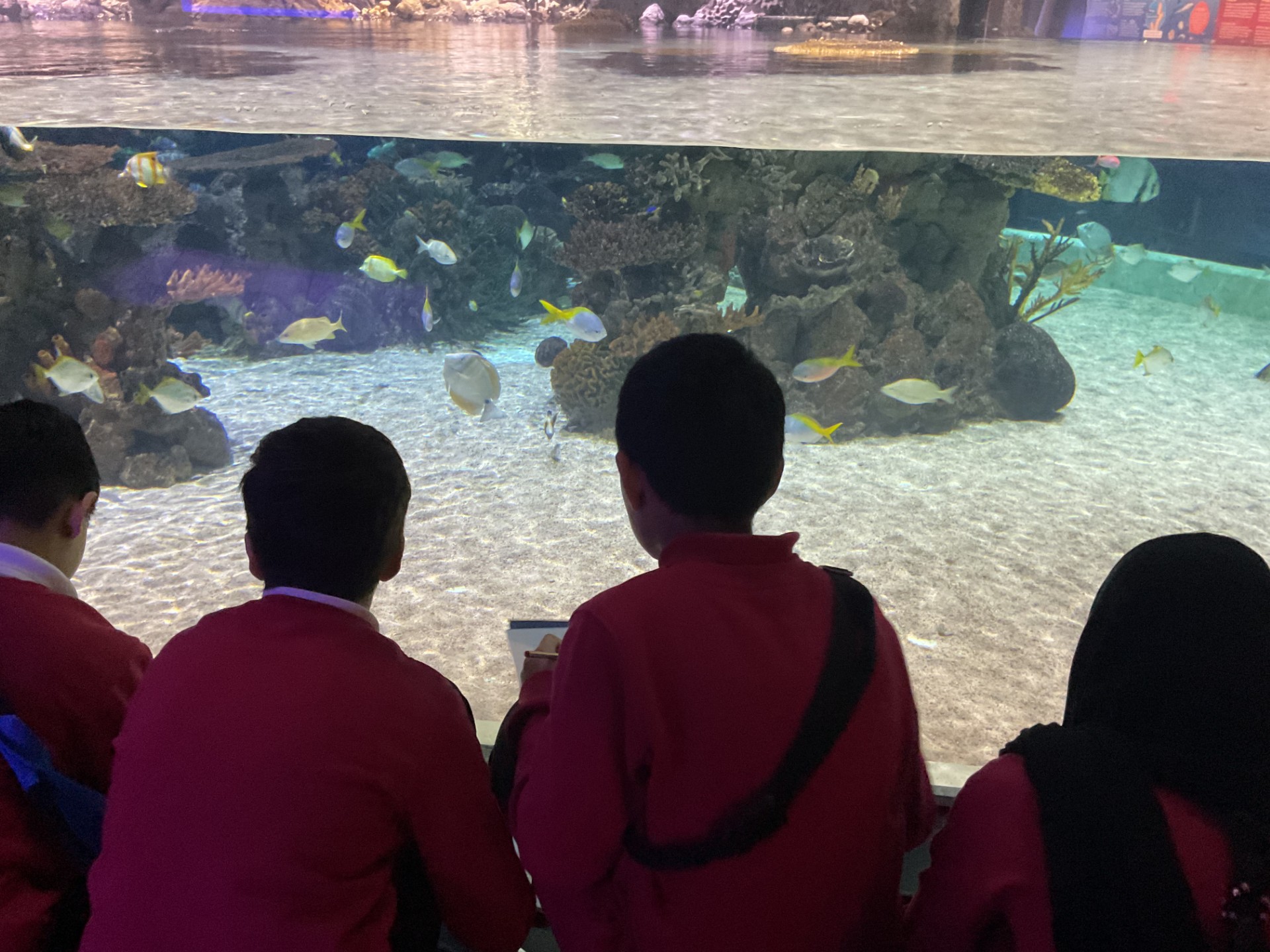 Image of Year 5 (Class 12) - Science - The Deep Trip