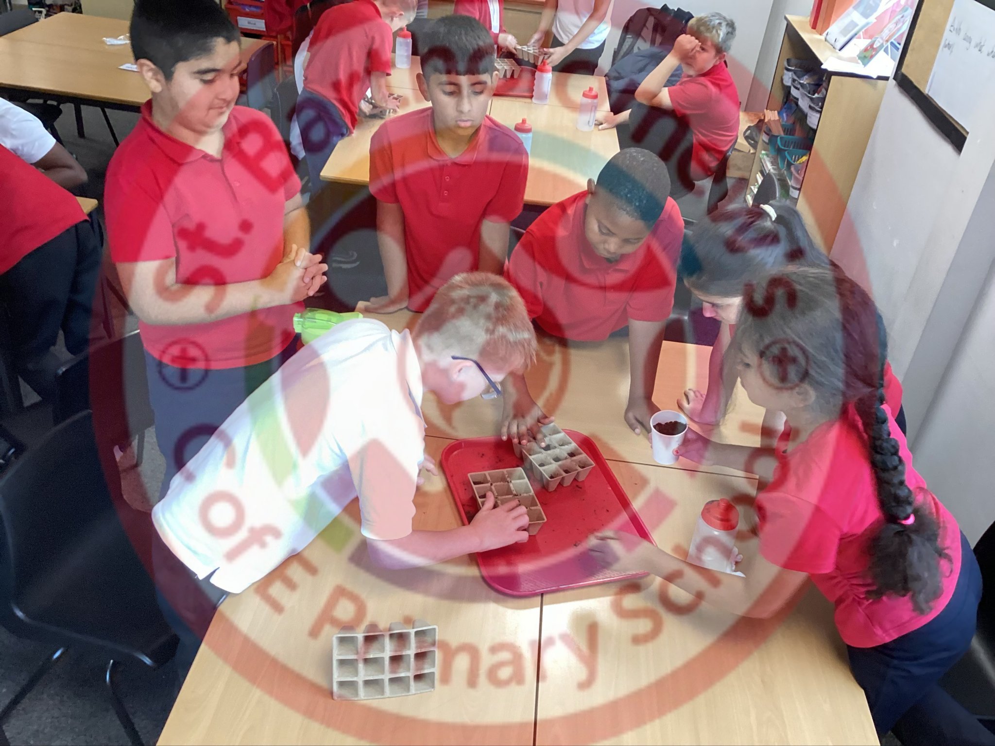 Image of Year 5 (Class 13) - History - World War 2 (Dig for Victory)