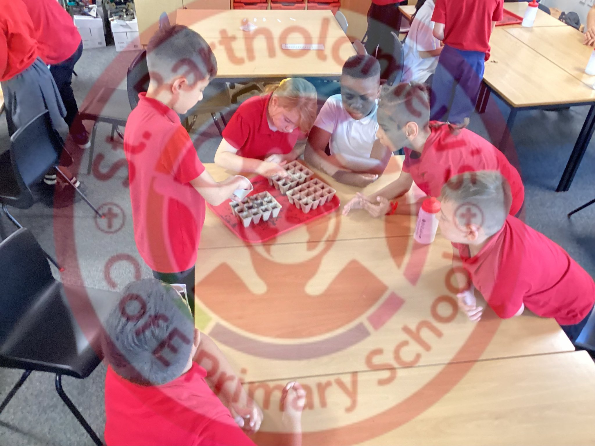 Image of Year 6 (Class 13) - History - World War 2 (Dig for Victory)