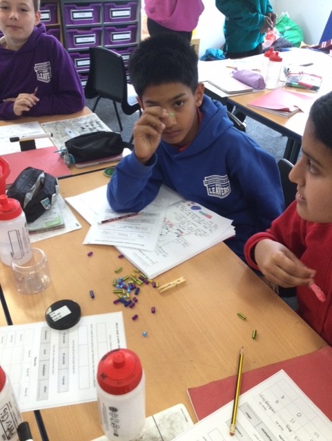 Image of Year 6 (Class 16) - Science - Finches on The Galápagos Islands