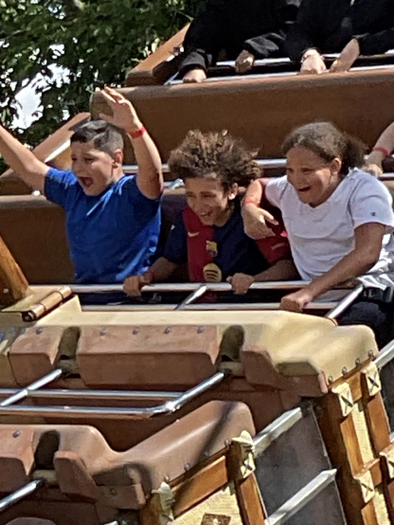 Image of Year 6 - Flamingo Land Trip 2026