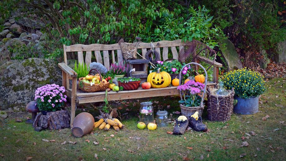 Image of Harvest Festival Church Visit