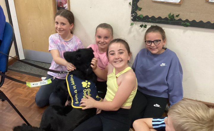 Image of KS2 Learn About Visual Impairment During Inspiring Guide Dogs Visit