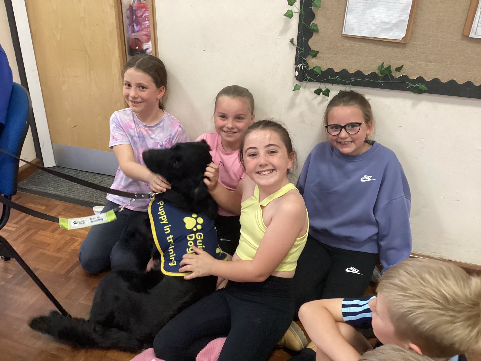 Image of KS2 Learn About Visual Impairment During Inspiring Guide Dogs Visit
