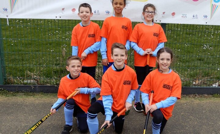 Image of County Final Quicksticks