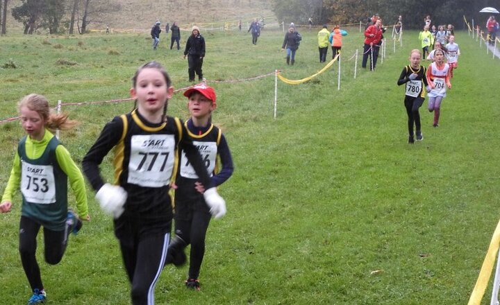 Image of Courageous Cross Country Runners!