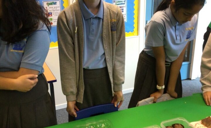 Image of Go Green for CAFOD