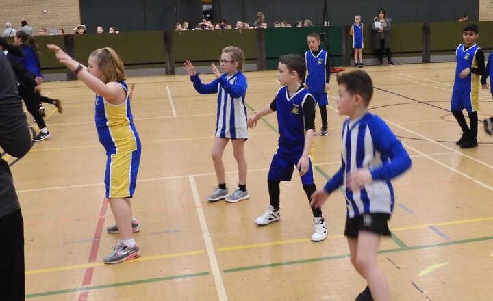 Image of Hoop Stars!