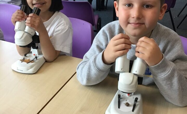 Image of Marvellous Microscopes