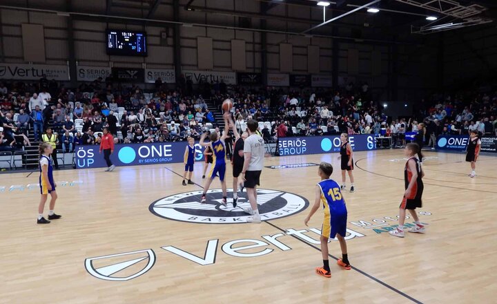 Image of Northumberland, Tyne & Wear Basketball Champions League Success!