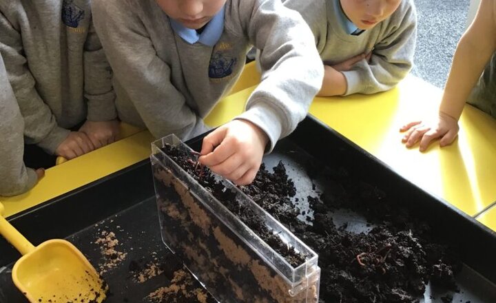 Image of Reception Build a Wormery
