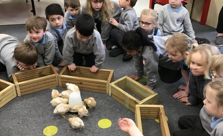 Image of Special Visitors in Reception