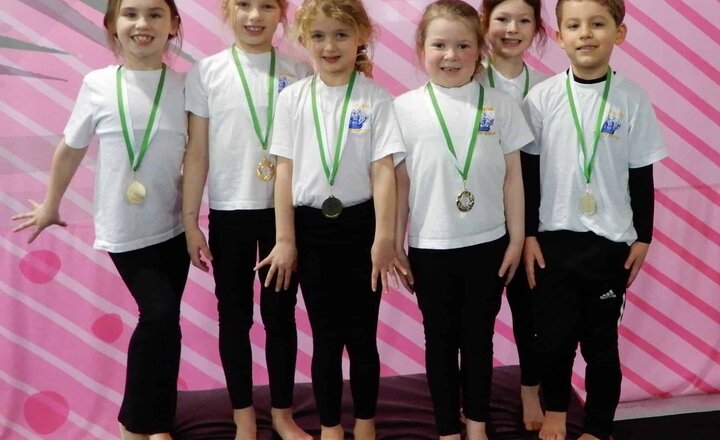 Image of Y1/2 South Tyneside Gymnastics Champions 2024!