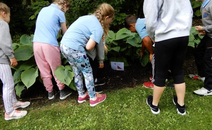 Image of Y3 Orienteering!