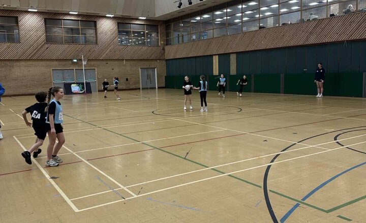 Image of Y5/6 Netball Stars!