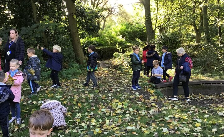 Image of Year 1’s Autumn Walk