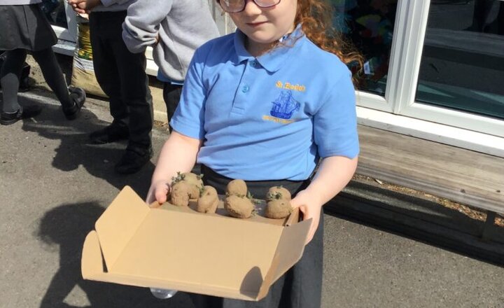 Image of Year 1’s Potatoes