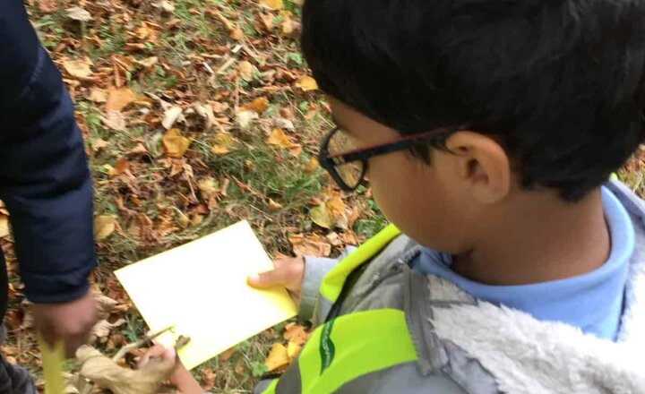 Image of Year 1’s Trip to Gibside!