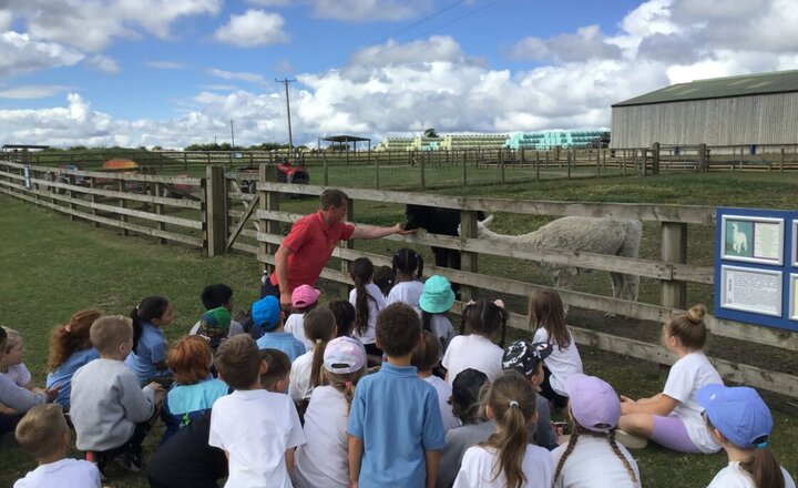 Image of Year 2 at Hall Hill Farm