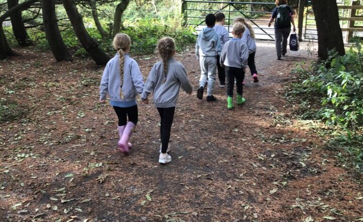 Image of Year 2’s trip to The Rising Sun Country Park