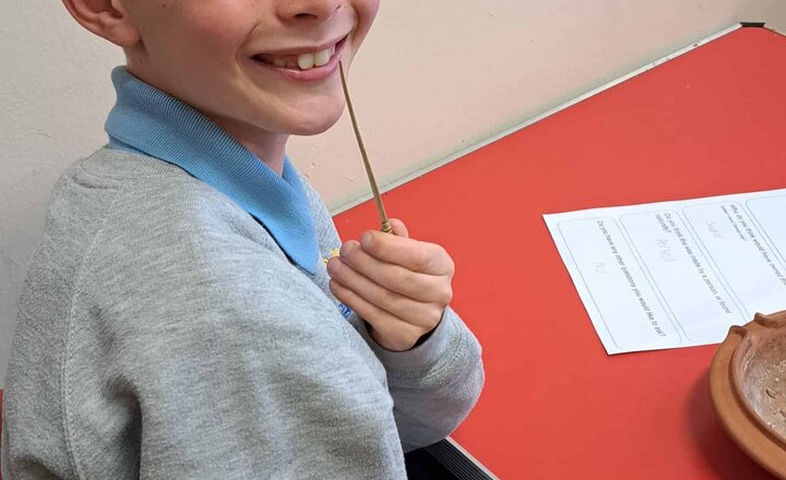 Image of Year 4’s visit to Arbeia Roman Fort