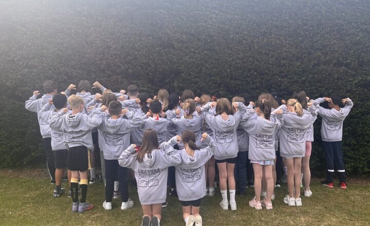 Image of Year 6 Hoodies