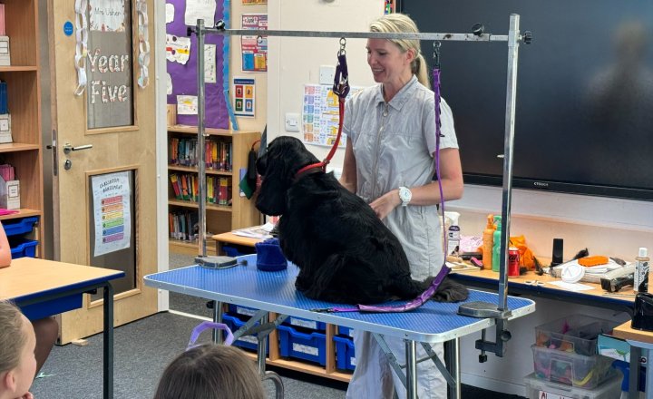 Image of Careers Week 2026