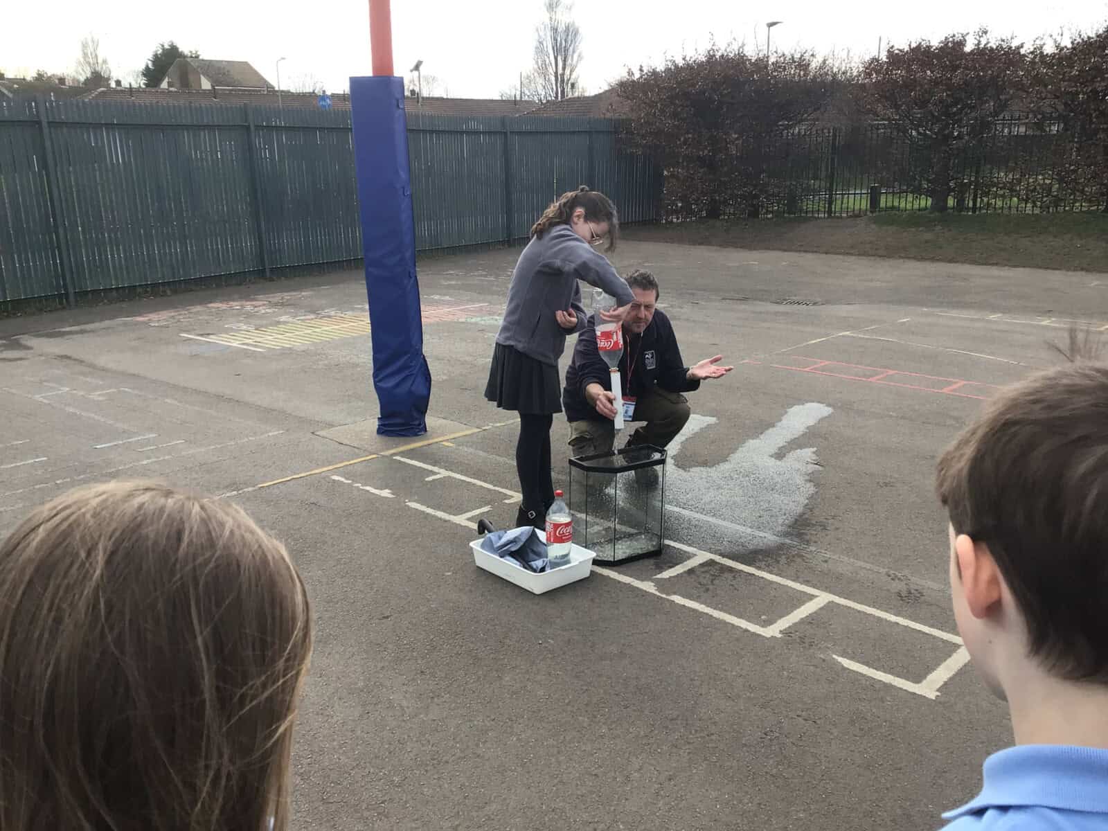 Image of Year 5 Raingarden Sessions with Durham Wildlife Trust