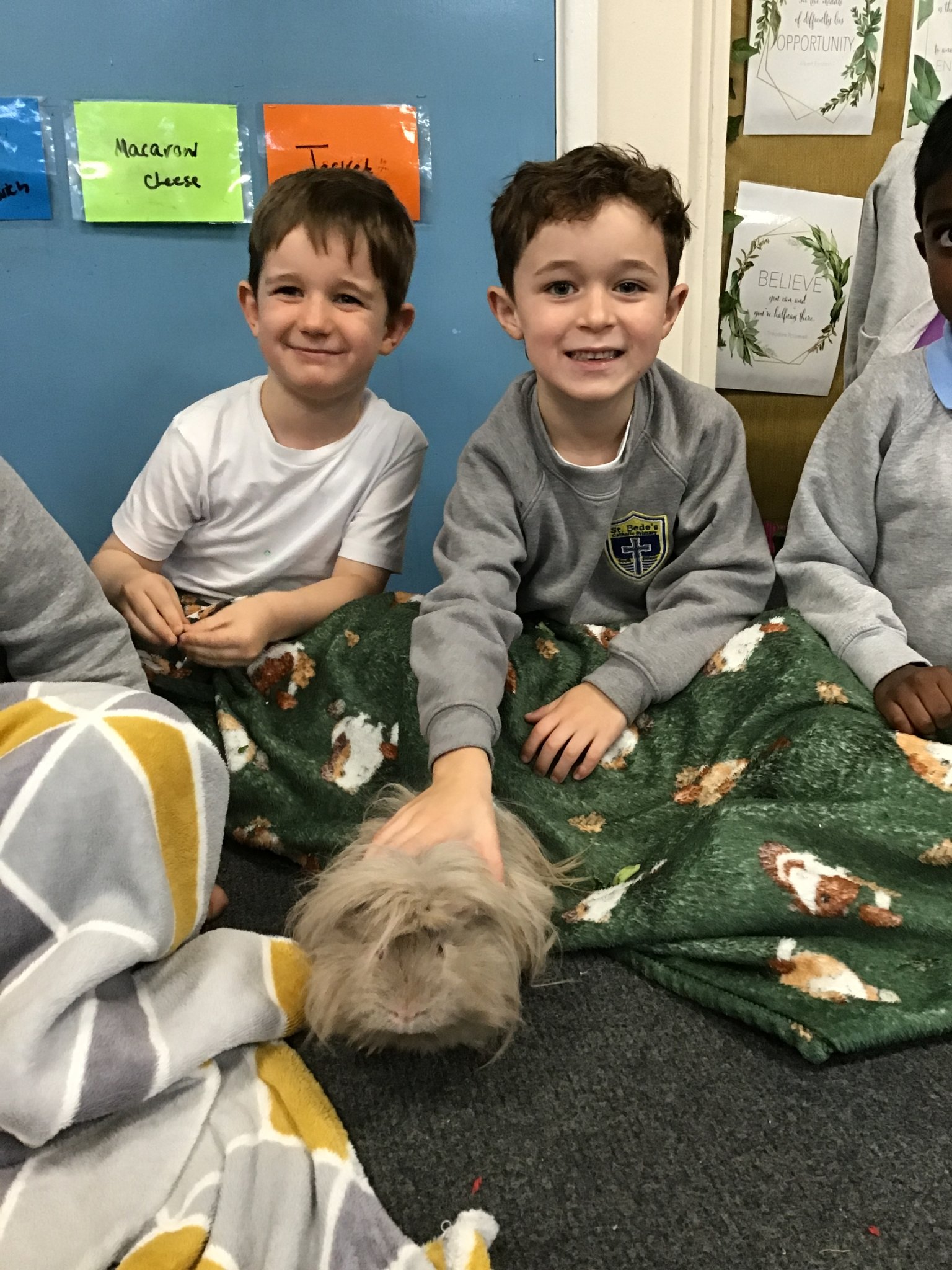 Image of Year 1 Animal Encounter