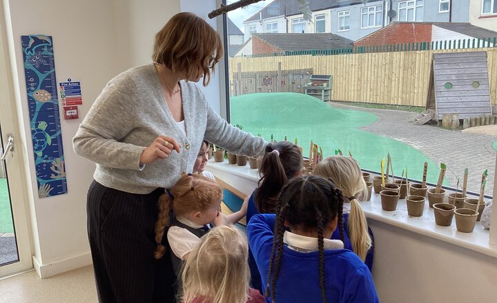 Reception children putting their planted sunflowers near the window to grow